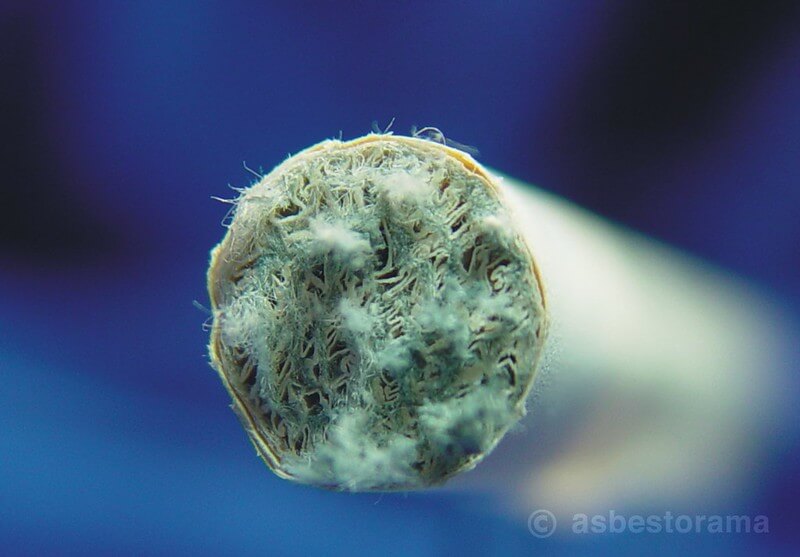 1954 Kent Micronite asbestos-containing cigarette filter showing blue-colored crocidolite