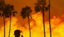 California Wildfires