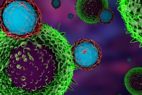 T cells attacking cancer cells