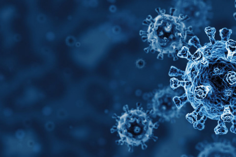 Graphic of bacteria and cells