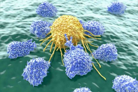 T cells attacking cancer cells