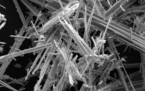 Anthophyllite Asbestos Scanning Electron Microscopy