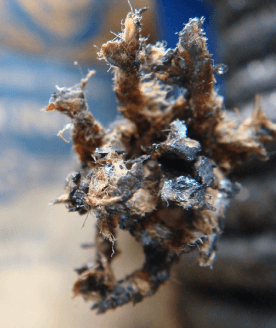 Asbestos packing example