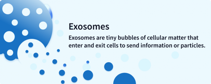 what are exosomes