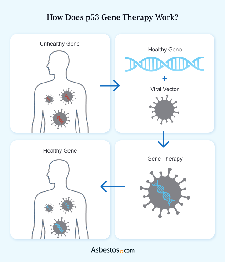 Graphic of how p53 gene therapy works to treat mesothelioma.